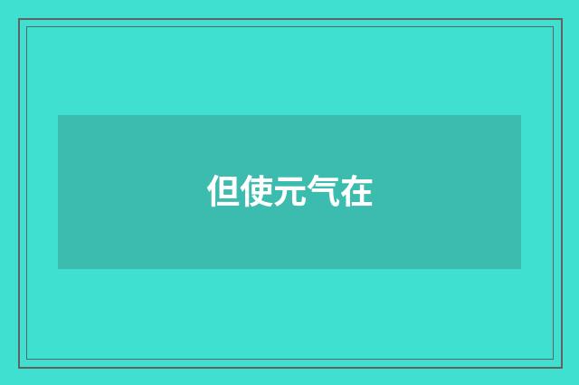 但使元气在