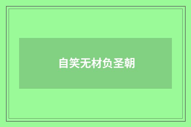 自笑无材负圣朝