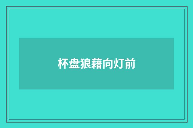 杯盘狼藉向灯前