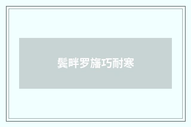 鬓畔罗旛巧耐寒