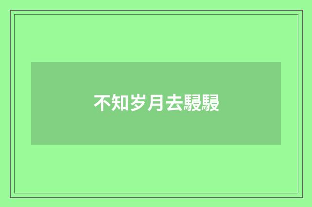 不知岁月去駸駸