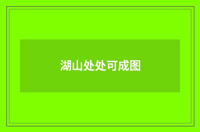 湖山处处可成图