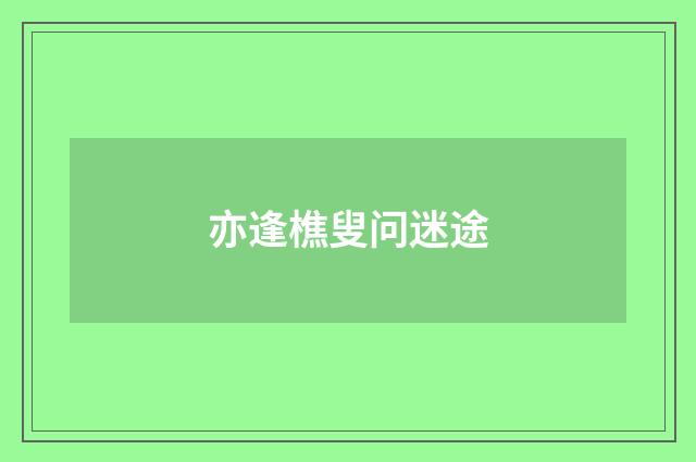 亦逢樵叟问迷途