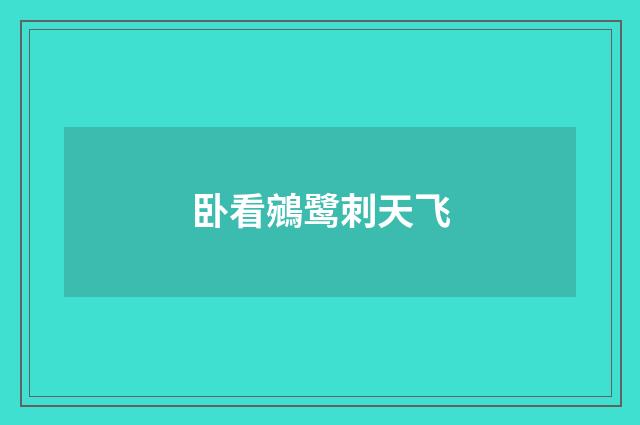 卧看鵷鹭刺天飞
