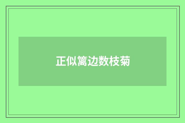 正似篱边数枝菊