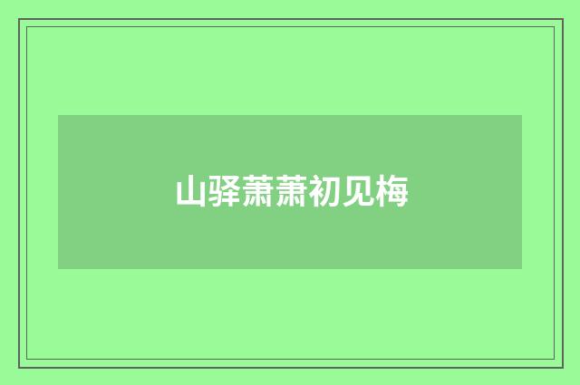 山驿萧萧初见梅