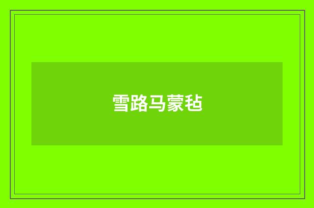雪路马蒙毡