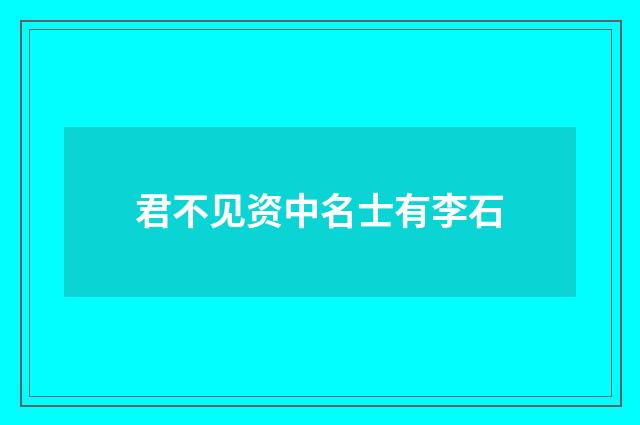 君不见资中名士有李石