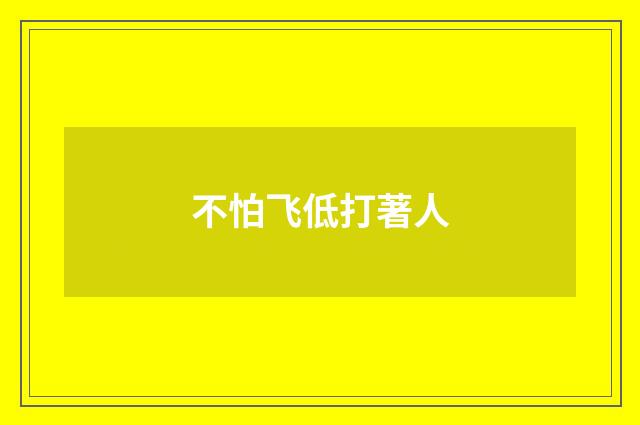 不怕飞低打著人