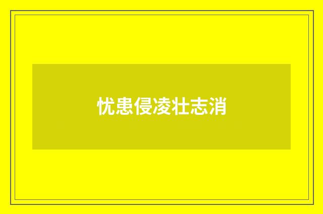 忧患侵凌壮志消