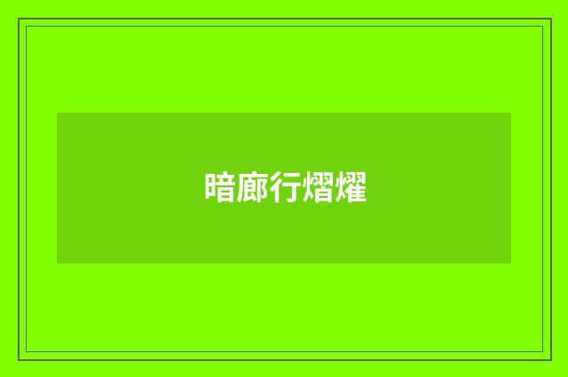 暗廊行熠燿