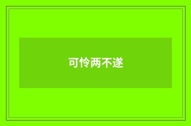 可怜两不遂