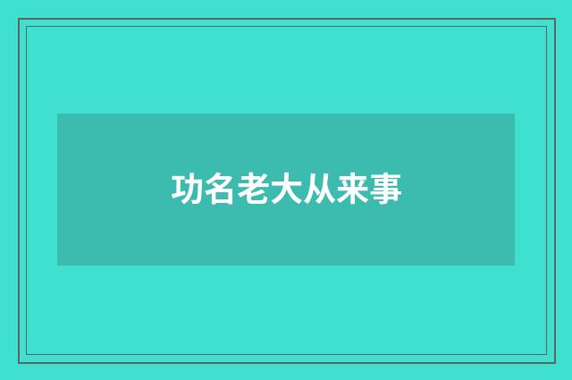 功名老大从来事