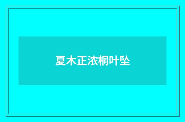 夏木正浓桐叶坠