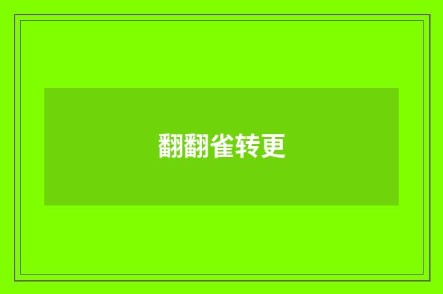 翻翻雀转更