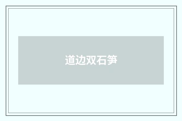 道边双石笋