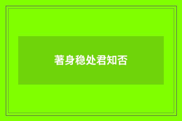 著身稳处君知否