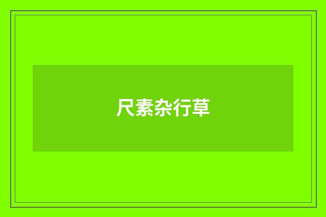 尺素杂行草