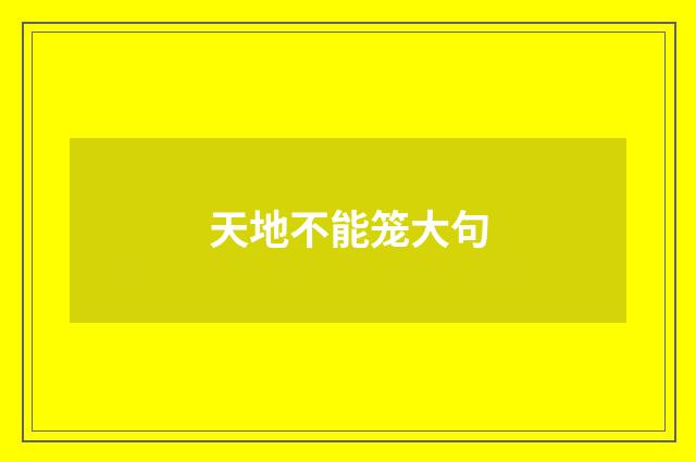 天地不能笼大句