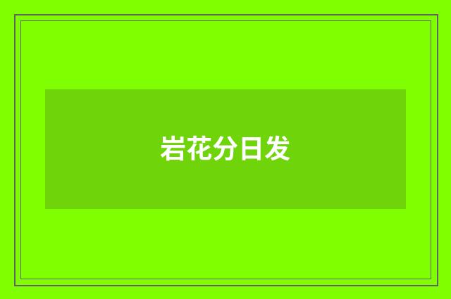 岩花分日发