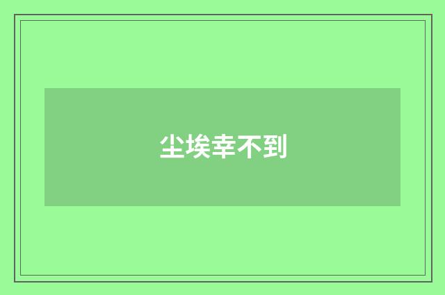 尘埃幸不到