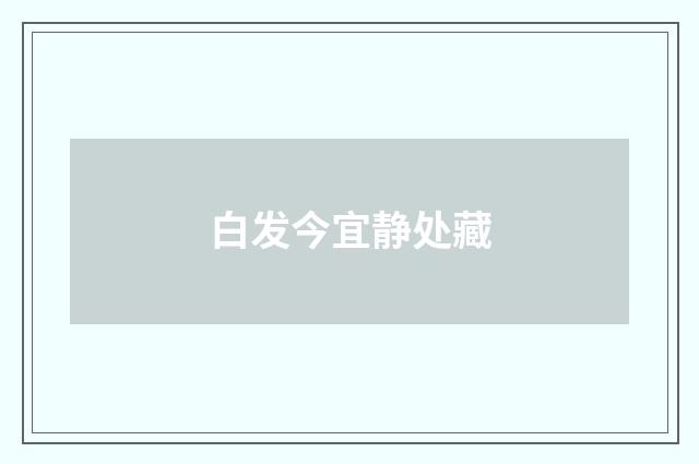 白发今宜静处藏
