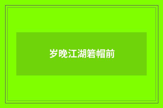 岁晚江湖箬帽前