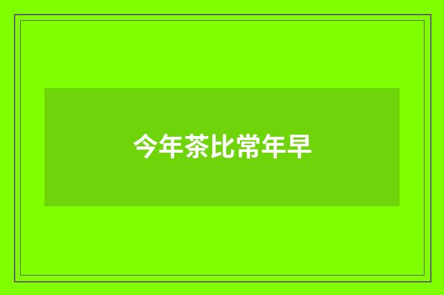 今年茶比常年早