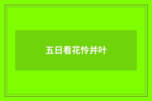 五日看花怜并叶