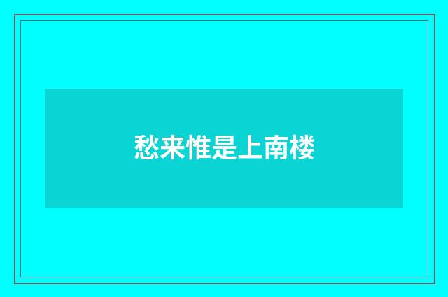 愁来惟是上南楼