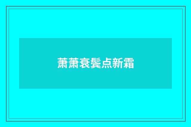 萧萧衰鬓点新霜