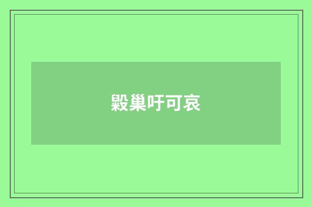 毇巢吁可哀