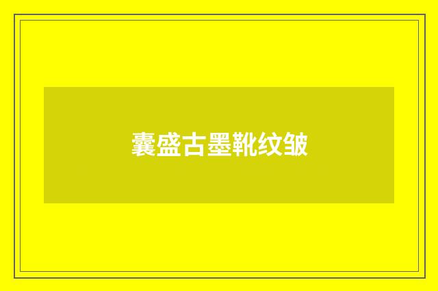 囊盛古墨靴纹皱