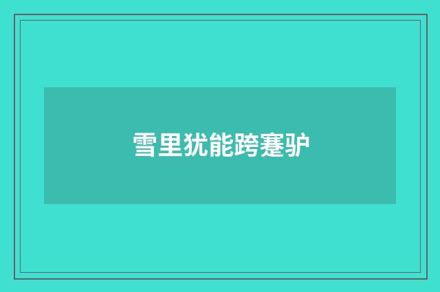 雪里犹能跨蹇驴