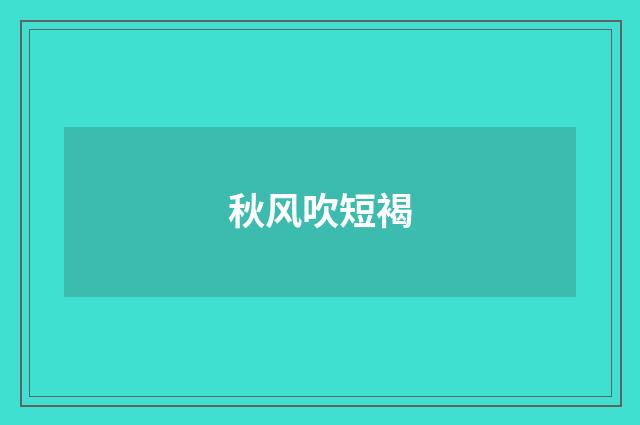 秋风吹短褐