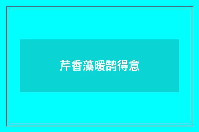 芹香藻暖鹄得意