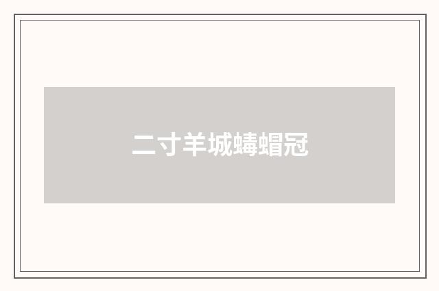 二寸羊城蝳蝐冠