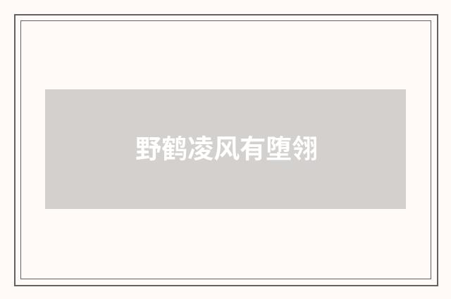 野鹤凌风有堕翎