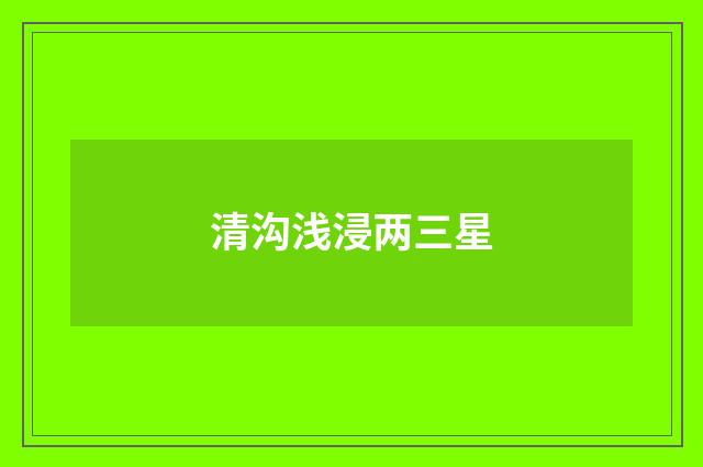 清沟浅浸两三星