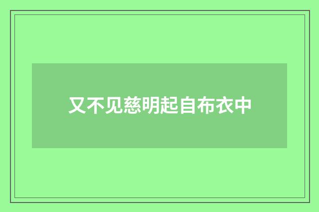 又不见慈明起自布衣中