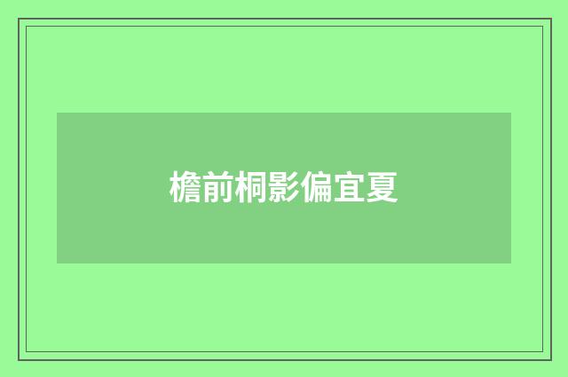 檐前桐影偏宜夏