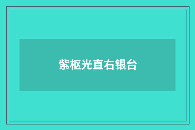 紫枢光直右银台