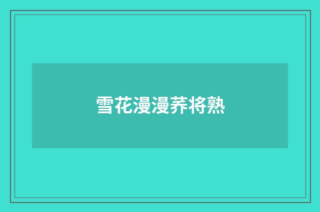 雪花漫漫荞将熟