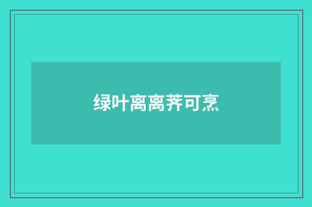 绿叶离离荠可烹