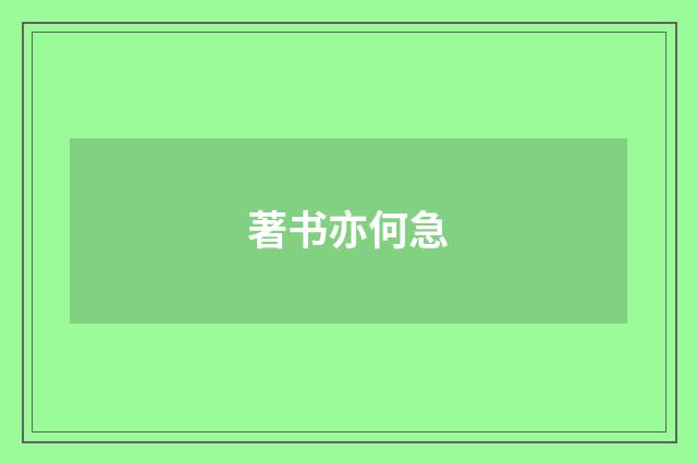 著书亦何急