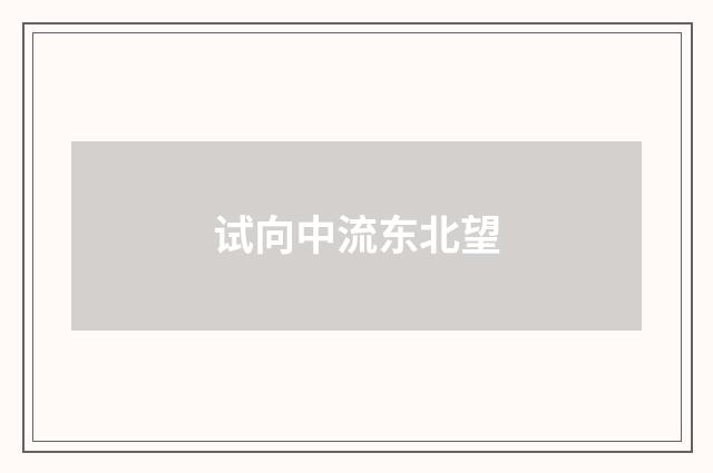 试向中流东北望