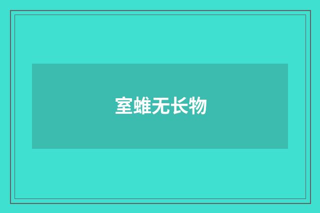室蜼无长物