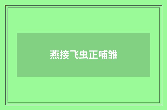 燕接飞虫正哺雏