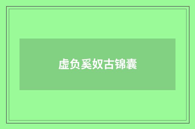 虚负奚奴古锦囊