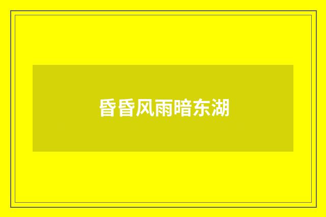 昏昏风雨暗东湖